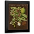 thumbnail image 1 of Vision Studio 19x24 Black Modern Framed Museum Art Print Titled - Walnut on Suede, 1 of 5