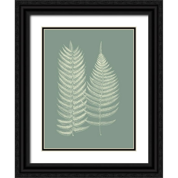 Vision Studio 19x24 Black Ornate Wood Framed with Double Matting Museum Art Print Titled - Ferns on Sage IX