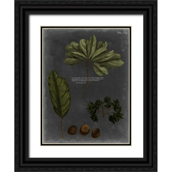 Vision Studio 19x24 Black Ornate Wood Framed with Double Matting Museum Art Print Titled - Foliage Dramatique VI