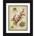 thumbnail image 1 of Vision Studio 19x24 Black Ornate Wood Framed with Double Matting Museum Art Print Titled - Imperial Coral II, 1 of 4