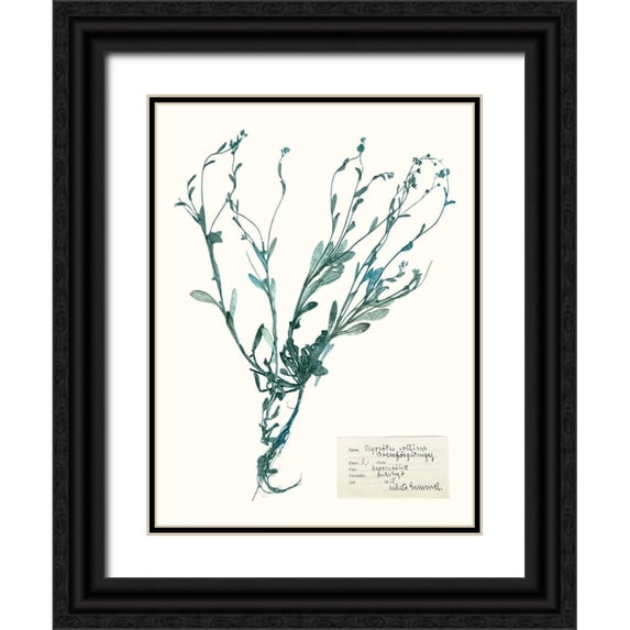 Vision Studio 19x24 Black Ornate Wood Framed with Double Matting Museum Art Print Titled - Pressed Flowers in Spa II