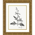 thumbnail image 1 of Vision Studio  19x24 Gold Ornate Wood Framed with Double Matting Museum Art Print Titled - Botanical Imprint III, 1 of 4
