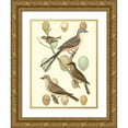 thumbnail image 1 of Vision Studio 19x24 Gold Ornate Wood Framed with Double Matting Museum Art Print Titled - British Birds and Eggs I, 1 of 4