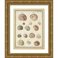 thumbnail image 1 of Vision Studio 19x24 Gold Ornate Wood Framed with Double Matting Museum Art Print Titled - Seashell Synopsis III, 1 of 4