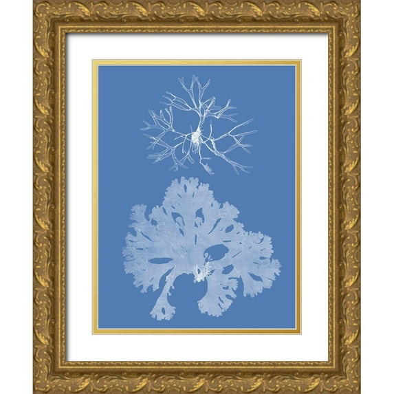 Vision Studio 19x24 Gold Ornate Wood Framed with Double Matting Museum Art Print Titled - Seaweed Cyanotype III