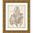 thumbnail image 1 of Vision Studio 19x24 Gold Ornate Wood Framed with Double Matting Museum Art Print Titled - Sepia Exotic Plants I, 1 of 4