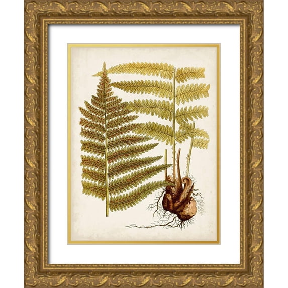 Vision Studio 19x24 Gold Ornate Wood Framed with Double Matting Museum Art Print Titled - Vintage Charm IX