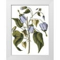 thumbnail image 1 of Vision Studio 19x24 White Modern Wood Framed Museum Art Print Titled - Lavender Floral I, 1 of 4