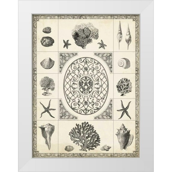 Vision Studio 19x24 White Modern Wood Framed Museum Art Print Titled - Natures Memento II