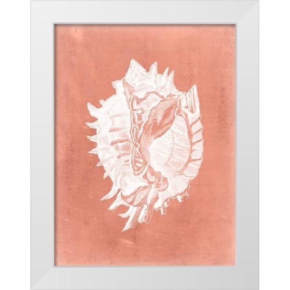 Vision Studio 19x24 White Modern Wood Framed Museum Art Print Titled - Sealife on Coral VI