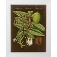 thumbnail image 1 of Vision Studio 19x24 White Modern Wood Framed Museum Art Print Titled - Walnut on Suede, 1 of 4