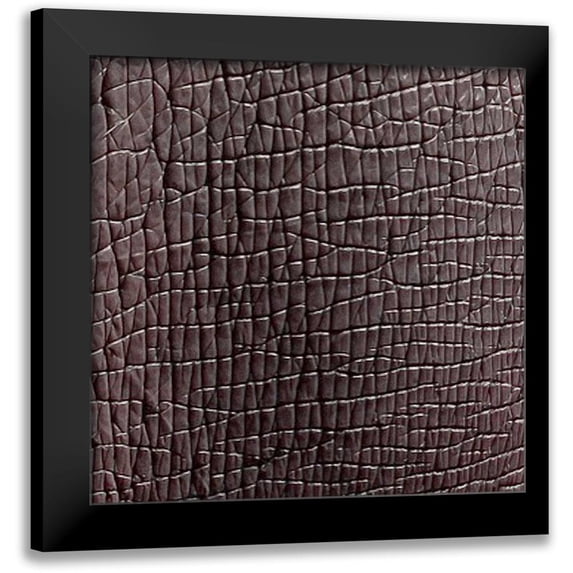 Vision Studio 20x20 Black Modern Framed Museum Art Print Titled - Animal Instinct IX