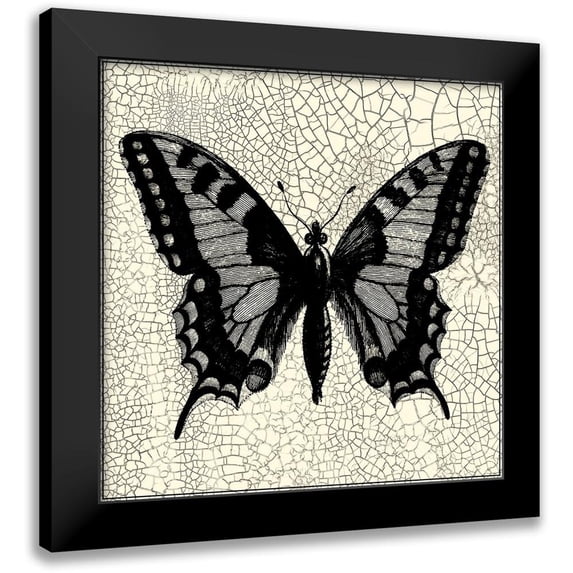 Vision Studio 20x20 Black Modern Framed Museum Art Print Titled - Classical Butterfly I