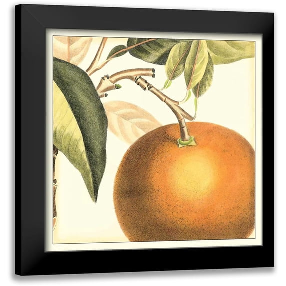 Vision Studio 20x20 Black Modern Framed Museum Art Print Titled - Graphic Orange