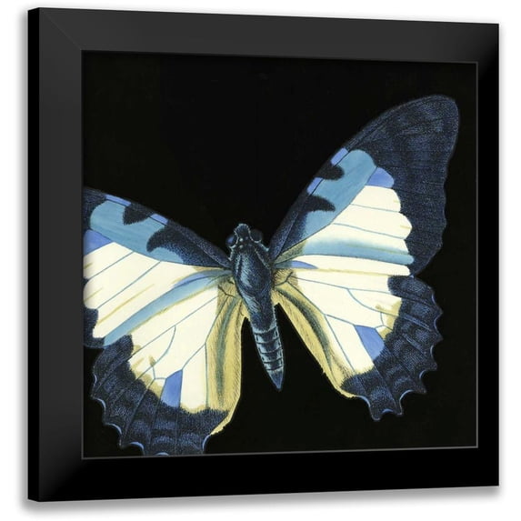 Vision Studio 20x20 Black Modern Framed Museum Art Print Titled - Small Dramatic Butterflies I