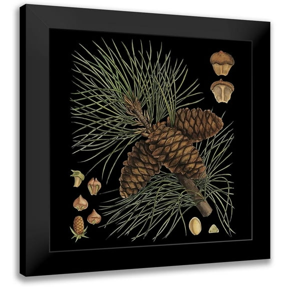 Vision Studio 20x20 Black Modern Framed Museum Art Print Titled - Small Dramatic Conifers V