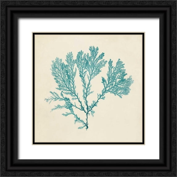 Vision Studio 20x20 Black Ornate Wood Framed with Double Matting Museum Art Print Titled - Chromatic Seaweed VIII