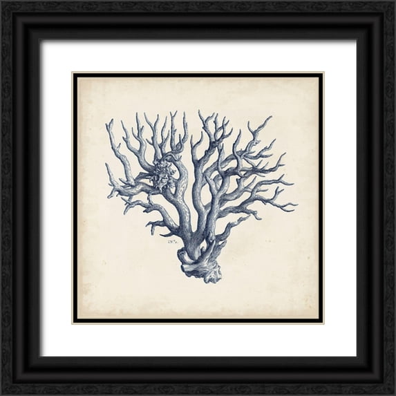 Vision Studio 20x20 Black Ornate Wood Framed with Double Matting Museum Art Print Titled - Coral Trio in Indigo I