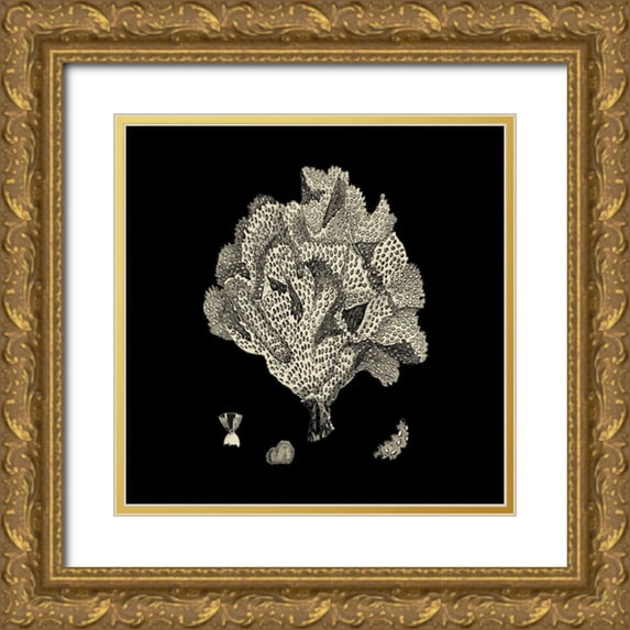 Vision Studio 20x20 Gold Ornate Wood Framed with Double Matting Museum Art Print Titled - Black and Tan Coral IV
