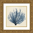 thumbnail image 1 of Vision Studio 20x20 Gold Ornate Wood Framed with Double Matting Museum Art Print Titled - Coastal Seaweed III, 1 of 4