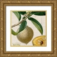 thumbnail image 1 of Vision Studio 20x20 Gold Ornate Wood Framed with Double Matting Museum Art Print Titled - Cropped Turpin Tropicals V, 1 of 4