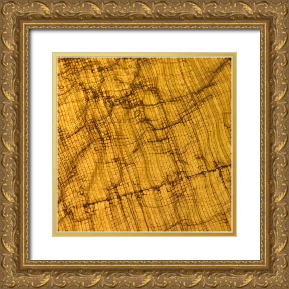 Vision Studio 20x20 Gold Ornate Wood Framed with Double Matting Museum Art Print Titled - Natures Textures I