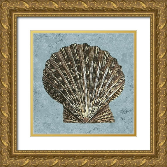 Vision Studio 20x20 Gold Ornate Wood Framed with Double Matting Museum Art Print Titled - Stonewashed Shells IV