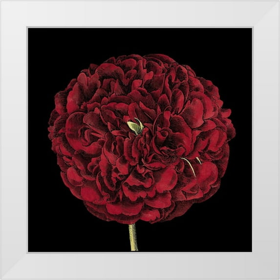 Vision Studio 20x20 White Modern Wood Framed Museum Art Print Titled - Dramatic Blooms III