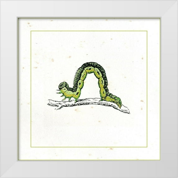 Vision Studio 20x20 White Modern Wood Framed Museum Art Print Titled - Green Inchworm