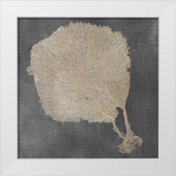 Vision Studio 20x20 White Modern Wood Framed Museum Art Print Titled - Natural Sea Fan II
