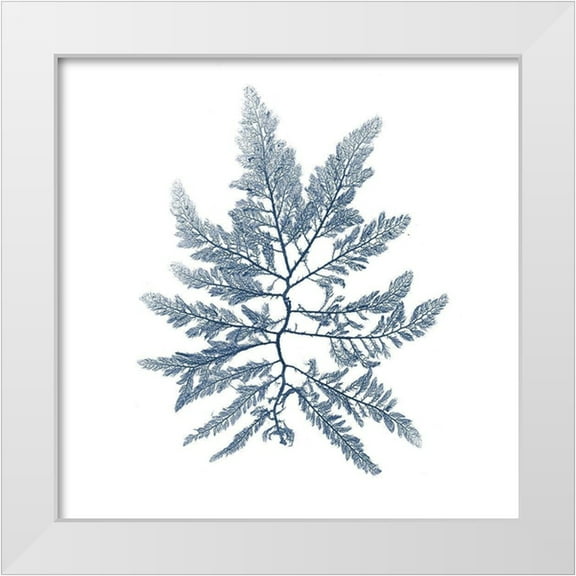Vision Studio 20x20 White Modern Wood Framed Museum Art Print Titled - Navy Seaweed II