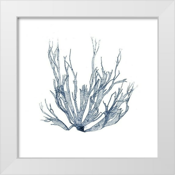 Vision Studio 20x20 White Modern Wood Framed Museum Art Print Titled - Navy Seaweed IV