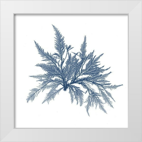 Vision Studio 20x20 White Modern Wood Framed Museum Art Print Titled - Navy Seaweed V