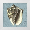 thumbnail image 1 of Vision Studio 20x20 White Modern Wood Framed Museum Art Print Titled - Stonewashed Shells I, 1 of 4