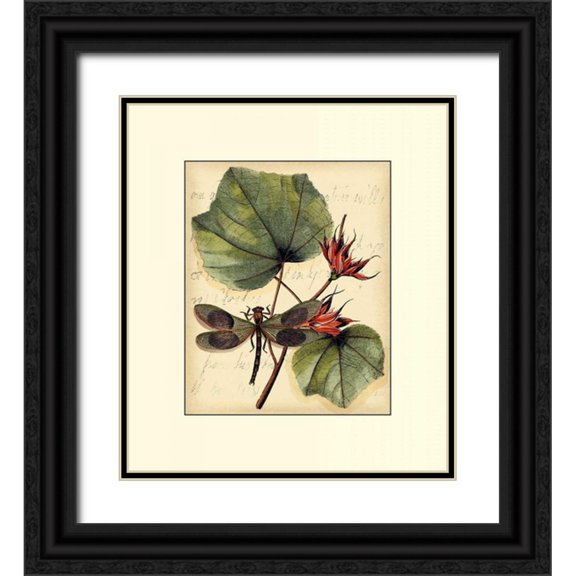 Vision Studio 20x22 Black Ornate Wood Framed with Double Matting Museum Art Print Titled - Petite Dragonflies I