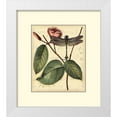 thumbnail image 1 of Vision Studio 20x22 White Modern Wood Framed Museum Art Print Titled - Petite Dragonflies IV, 1 of 4