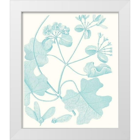 Vision Studio 20x23 White Modern Wood Framed Museum Art Print Titled - Botanical Study in Spa II