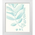 thumbnail image 1 of Vision Studio  20x23 White Modern Wood Framed Museum Art Print Titled - Botanical Study in Spa VI, 1 of 4