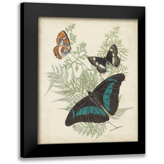 Vision Studio 20x24 Black Modern Framed Museum Art Print Titled - Butterflies and Ferns II