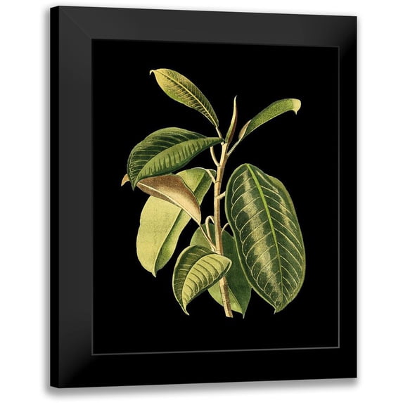 Vision Studio 20x24 Black Modern Framed Museum Art Print Titled - Custom Green Leaves on Black I (LG)