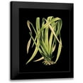 thumbnail image 1 of Vision Studio 20x24 Black Modern Framed Museum Art Print Titled - Custom Green Leaves on Black IV (LG), 1 of 5