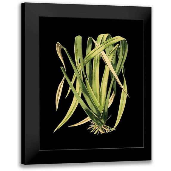 Vision Studio 20x24 Black Modern Framed Museum Art Print Titled - Custom Green Leaves on Black IV (LG)