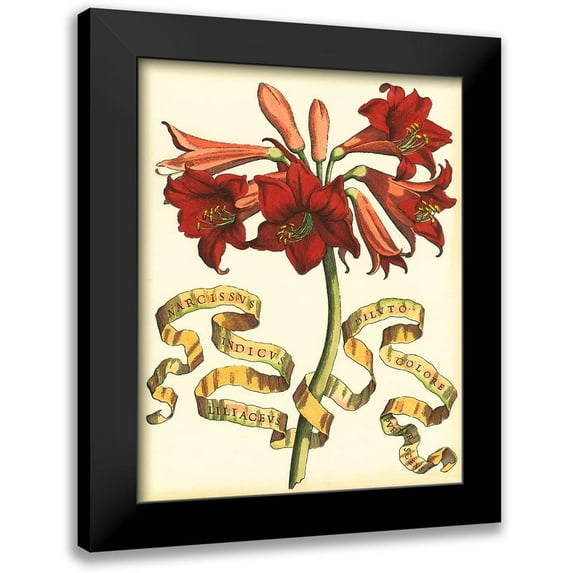 Vision Studio 20x24 Black Modern Framed Museum Art Print Titled - Ribbon Florals II