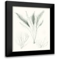 thumbnail image 1 of Vision Studio 20x24 Black Modern Framed Museum Art Print Titled - Sage Green Seaweed VIII, 1 of 5