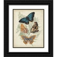thumbnail image 1 of Vision Studio 20x24 Black Ornate Wood Framed with Double Matting Museum Art Print Titled - Butterflies and Ferns V, 1 of 4
