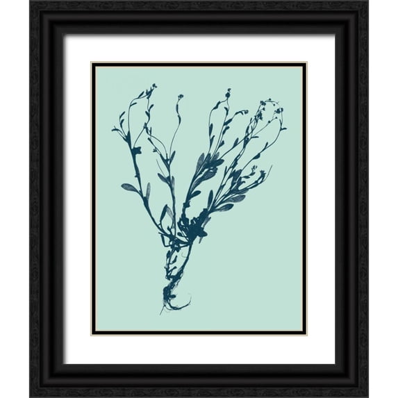 Vision Studio 20x24 Black Ornate Wood Framed with Double Matting Museum Art Print Titled - Indigo and Mint Botanical Study VI
