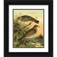thumbnail image 1 of Vision Studio 20x24 Black Ornate Wood Framed with Double Matting Museum Art Print Titled - Small Woodland Birds II, 1 of 4