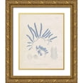 thumbnail image 1 of Vision Studio 20x24 Gold Ornate Wood Framed with Double Matting Museum Art Print Titled - Blue Marine Algae II, 1 of 4