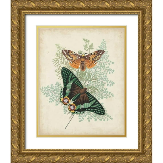 Vision Studio 20x24 Gold Ornate Wood Framed with Double Matting Museum Art Print Titled - Butterflies and Ferns I