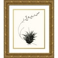 thumbnail image 1 of Vision Studio  20x24 Gold Ornate Wood Framed with Double Matting Museum Art Print Titled - Graphic Succulents I, 1 of 4